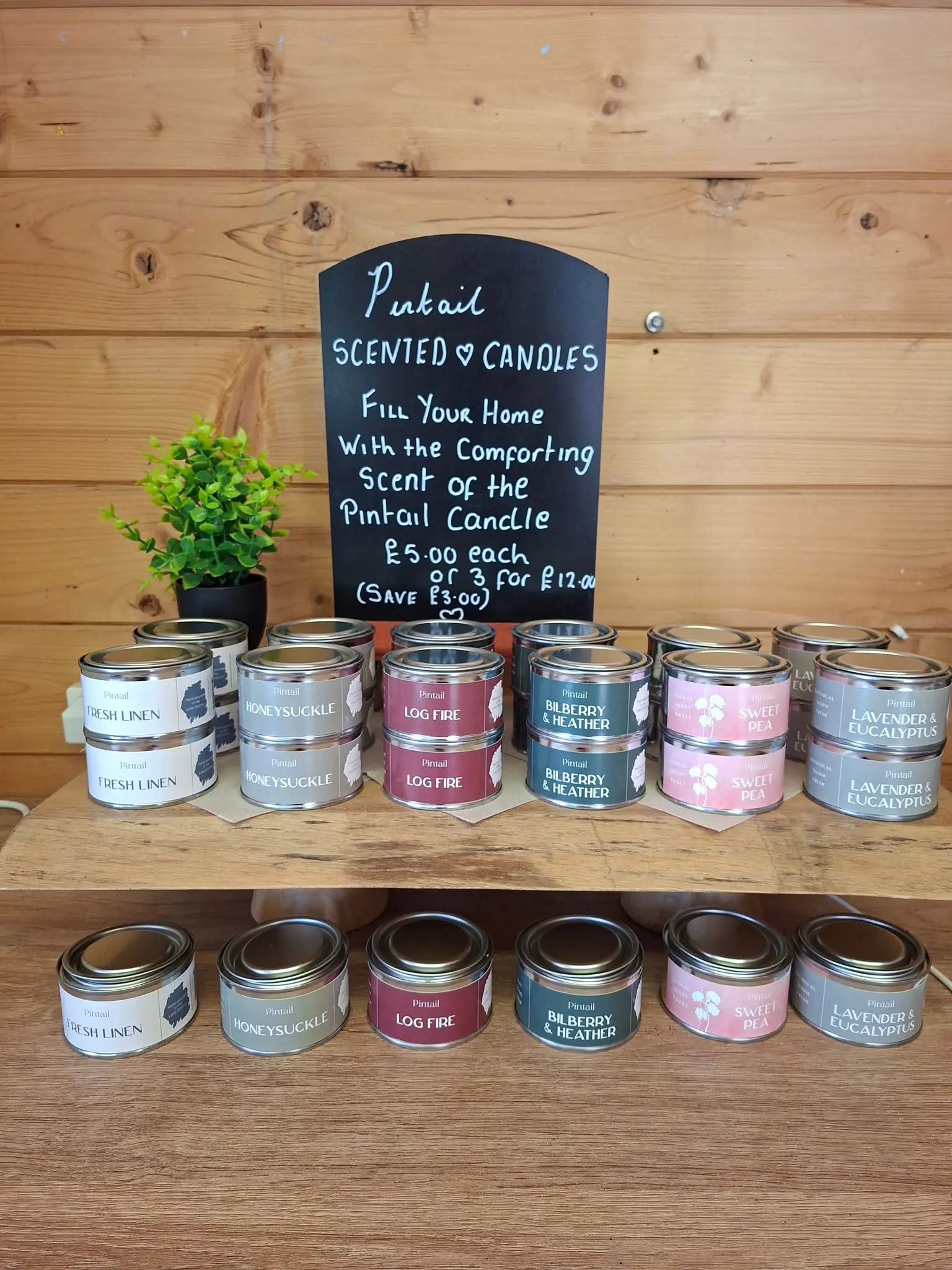 Tins of Pintail scented candles lined up on a wooden shelf.