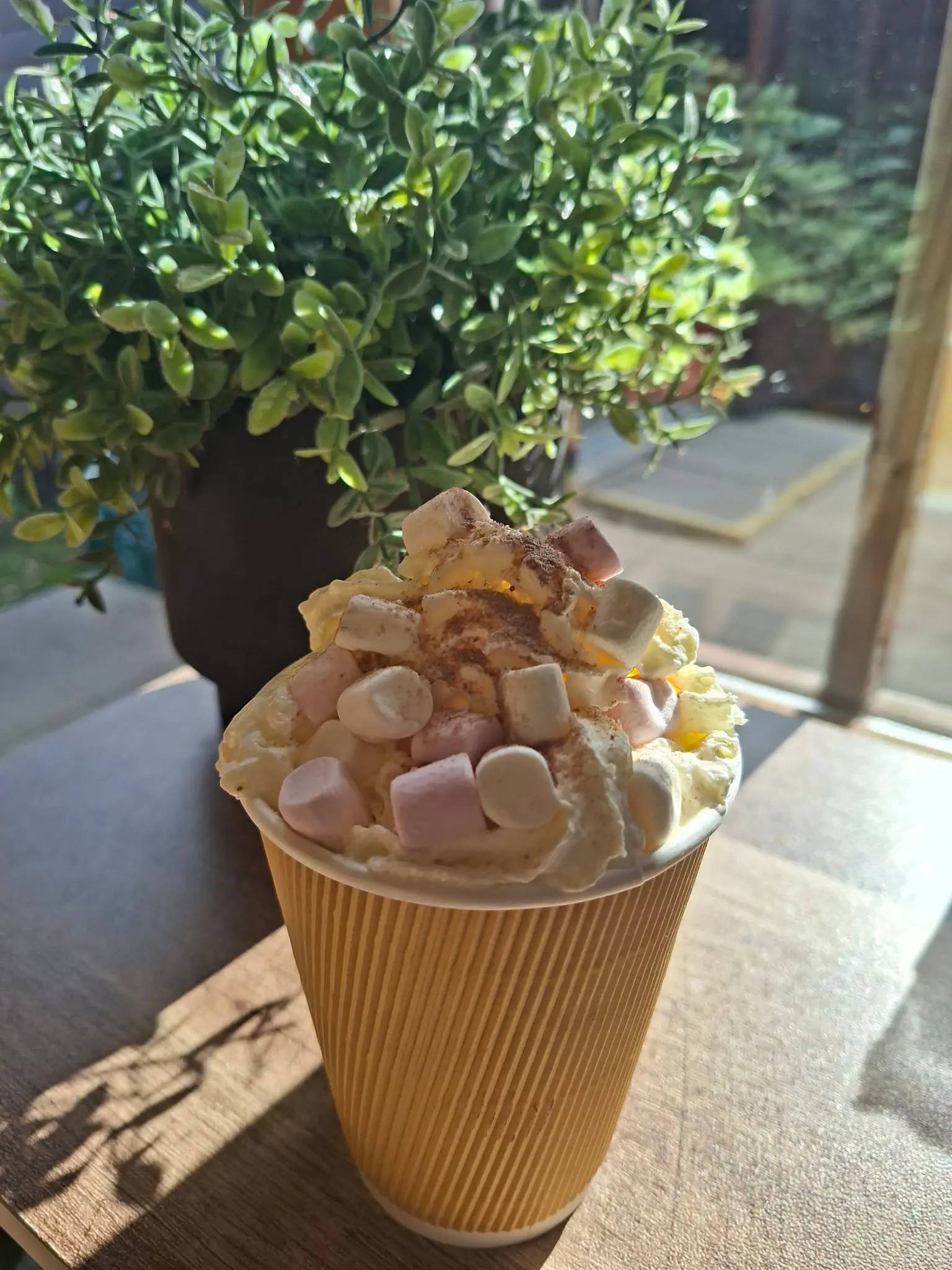 A takeaway coffee topped with cream, marshmallows and a dusting of cocoa.